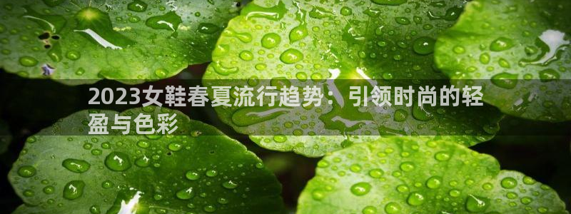 九游会ag真人官网