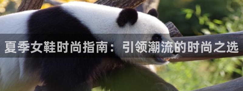 ag真人官网