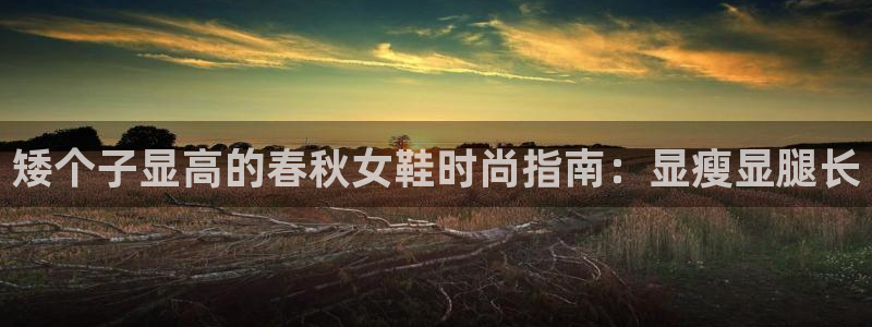 ag真人注册平台